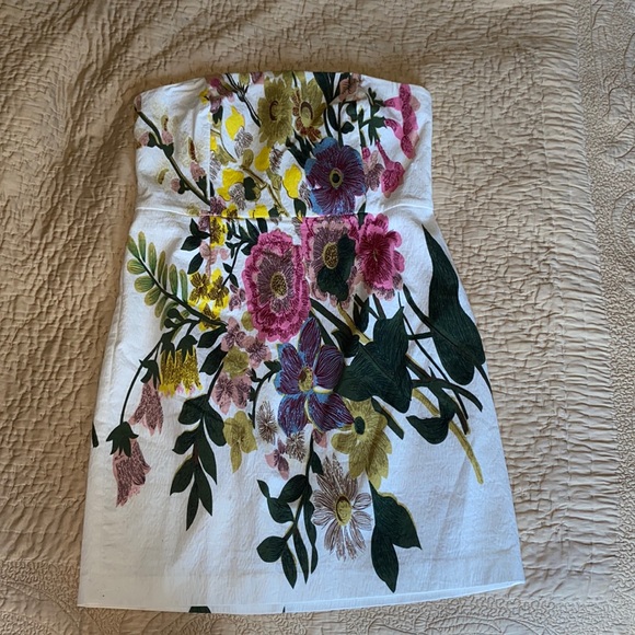 Plenty Strapless Dress by Tracey Reese - Picture 3 of 5